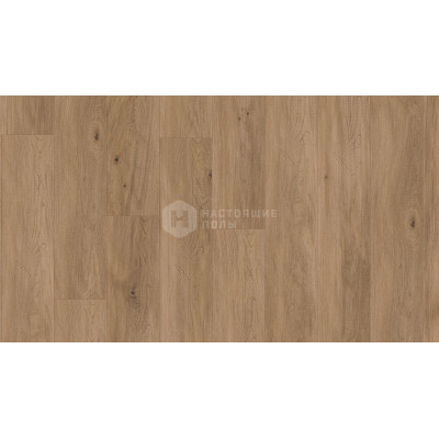 Инженерный паркет Weitzer Parkett WP Quadra 61479 Дуб Серый трюфель натур поперечно брашированный, натуральное масло ProVital Finish, 1800*175*14 мм Инженерный паркет Weitzer Parkett WP Quadra 61479 Дуб Серый трюфель натур поперечно брашированный, натуральное масло ProVital Finish, 1800*175*14 мм