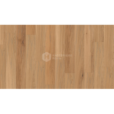 Инженерный паркет Weitzer Parkett WP 4100 27718 Дуб натур брашированный, натуральное масло ProVital Finish, 1000*125*11 мм