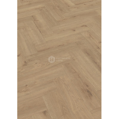 Ламинат елочкой Meister Edition M6 7001 Дуб Шампань, 620*155*8 мм Ламинат елочкой Meister Edition M6 7001 Дуб Шампань, 620*155*8 мм