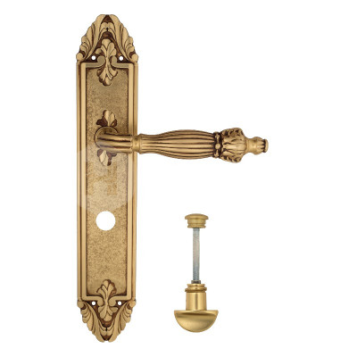Дверная ручка на планке Venezia Olimpo VNZ2546 PL90 французское золото + коричневый