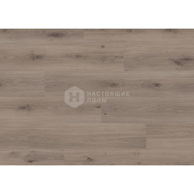 Ламинат Balterio Livanti LVI61067 Дуб цветочный однополосный, 1200*190*8 мм Ламинат Balterio Livanti LVI61067 Дуб цветочный однополосный, 1200*190*8 мм