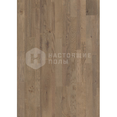 Паркетная доска Quick-Step Parquet Variano VAR1631 Дуб Королевский серый промасленный Паркетная доска Quick-Step Parquet Variano VAR1631 Дуб Королевский серый промасленный