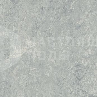 Натуральный линолеум рулонный Marmoleum Real 2.0 2621 Dove Grey