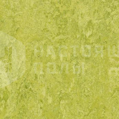 Натуральный линолеум рулонный Marmoleum Real 2.5 3224 Chartreuse