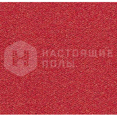 Ковровая плитка Forbo Tessera Chroma 3626 cardinal, 500*500*6.4 мм