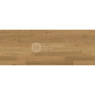 Паркетная доска Bjelin Hardened wood 346022 Дуб Экет 3.0 XL, 2200*206*11.3 мм