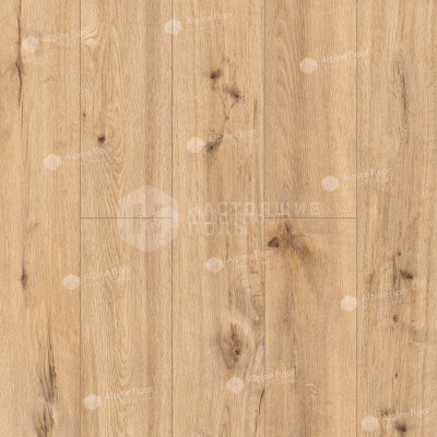 SPC плитка замковая Alpine Floor ProNature 64634 Дуб Попрад, 1290*246*4 мм