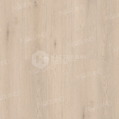 ПВХ литка клеевая Alpine Floor Norland Sigrid LVT 1003-1 Абби, 1219.2*184.15*2 мм 1003-5 Алант, 1219.2*184.15*2 мм