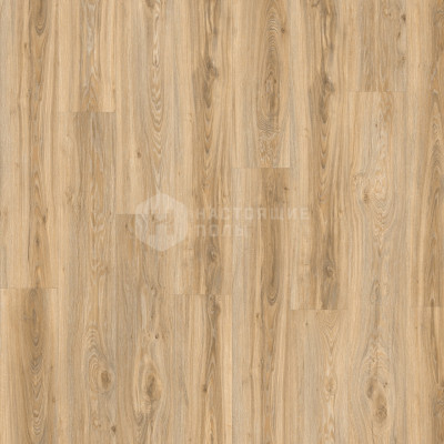 ПВХ плитка клеевая Moduleo Roots 55 Plank 22220Q Дуб Блэкджек, 1320*196*2.5 мм