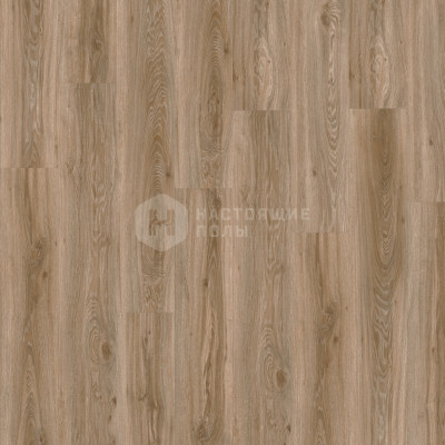 ПВХ плитка клеевая Moduleo Roots 55 Plank 22229Q Дуб Блэкджек, 1320*196*2.5 мм	