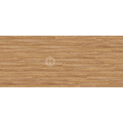 ПВХ плитка клеевая Wineo 800 Wood DB00081 Клен Медовый Теплый