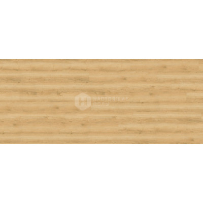 ПВХ плитка замковая Wineo 800 wood DLC00080 Дуб Пшеничный Золотой, 1212*185*5 мм