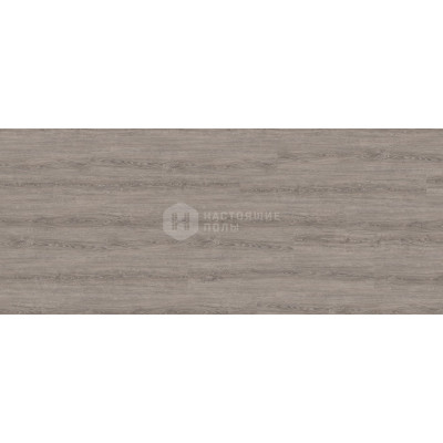 ПВХ плитка клеевая Wineo 800 wood XL DB00065 Дуб Лунд Пыльный