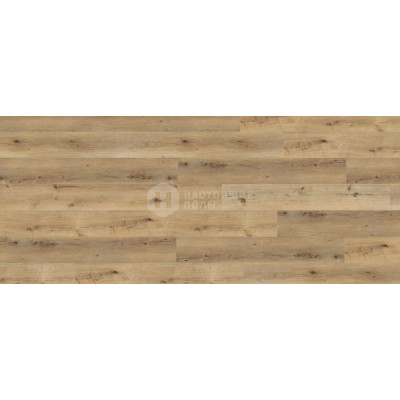 ПВХ плитка клеевая Wineo 800 wood XL DB00064 Дуб Рустик Кукурузный