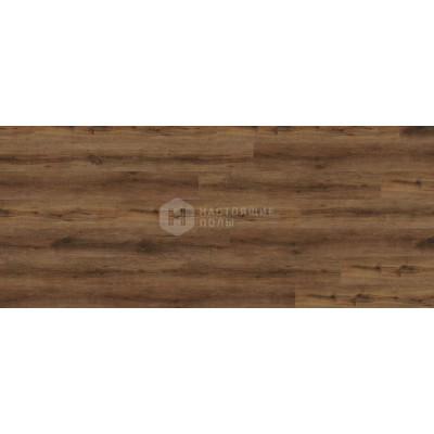 ПВХ плитка клеевая Wineo 800 wood XL DB00061 Дуб Санторини Глубокий