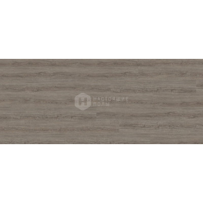 ПВХ плитка замковая Wineo 800 wood XL DLC00067 Дуб Понца Дымчатый, 1505*237*5 мм