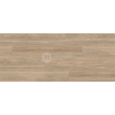 ПВХ плитка клеевая Wineo 400 wood DB00109 Дуб Тендер Мягкий