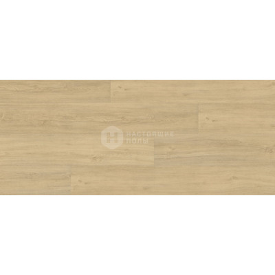 ПВХ плитка клеевая Wineo 400 wood XL DB00125 Дуб Чистый Добрый
