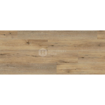 ПВХ плитка клеевая Wineo 400 wood XL DB00126 Дуб Нежная Радость