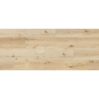 ПВХ плитка клеевая Wineo 400 wood XL DB00127 Дуб Песочный Удачный