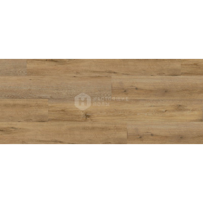 ПВХ плитка клеевая Wineo 400 wood XL DB00128 Дуб Вечное Освобождение