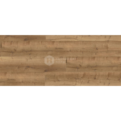 ПВХ плитка клеевая Wineo 400 wood XL DB00129 Дуб Спелый Комфортный