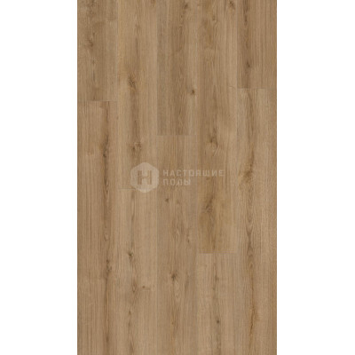 Ламинат Kaindl Natural Touch Standard Plank К4421 Дуб Эвок Тренд однополосный, 1383*193*8 мм