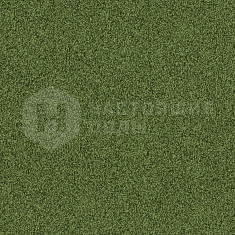 4175016 Moss, 500*500*7.8 мм