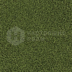 4176016 Moss, 500*500*10.2 мм