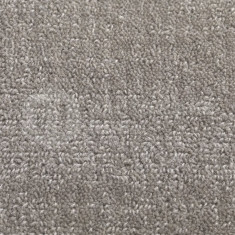 Willingdon Papyrus, 5000 мм