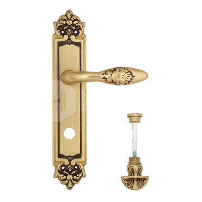Дверная ручка на планке Venezia Casanova VNZ2648 PL96 французское золото + коричневый